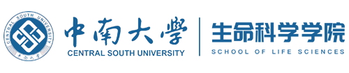 allwincity万象城门户网站